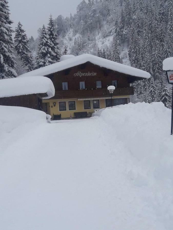 Haus Alpenheim Otel Flachau Dış mekan fotoğraf