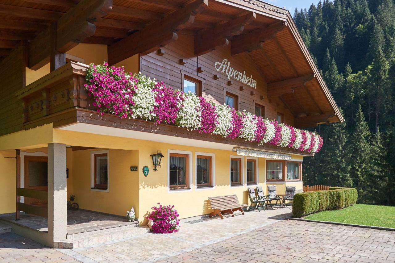 Haus Alpenheim Otel Flachau Dış mekan fotoğraf