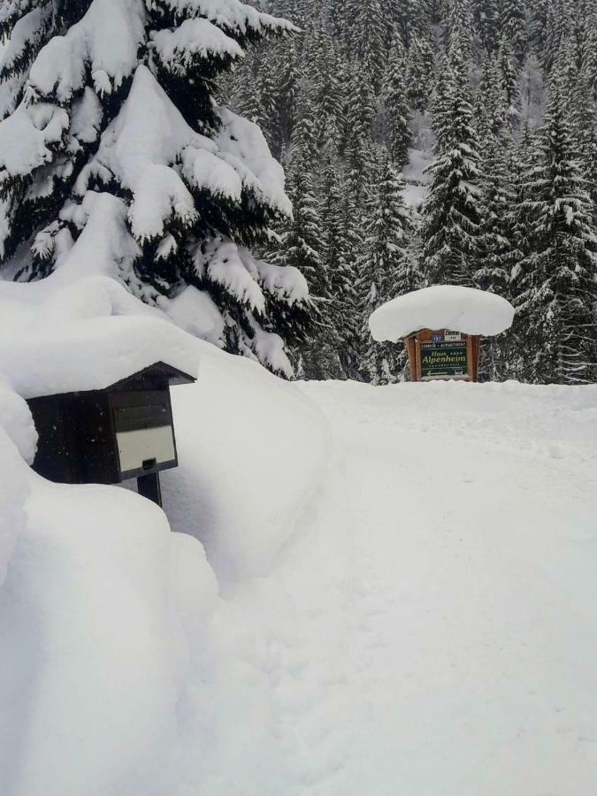 Haus Alpenheim Otel Flachau Dış mekan fotoğraf