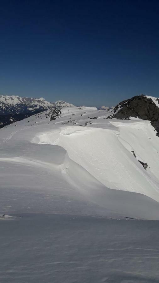 Haus Alpenheim Otel Flachau Dış mekan fotoğraf